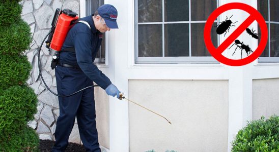 Eleşkirt Karınca İlaçlama böcek ilaçlama ve haşere kontrolü — ilaclama-tr.com